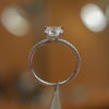 side angle of luxury round white gold diamond set shoulders lab grown diamond engagement ring